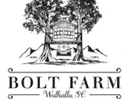 Bolt Farm Tree House, in Walhalla, South Carolina