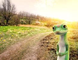 Geico, in Chevy Chase, Maryland