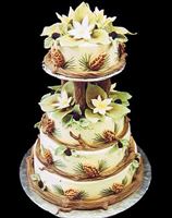 Mike's Amazing Cakes, in Redmond, Washington