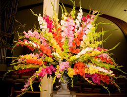 In Bloom, in Huntsville, Alabama