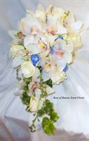 Rose of Sharon Floral Designs, in Fayetteville, Arkansas