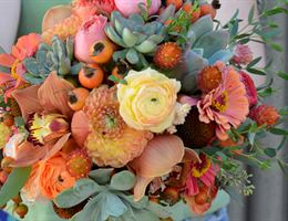 Boulder Blooms, in Boulder, Colorado