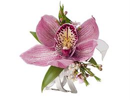 A Wedding In Silk, in Lawrenceville, Georgia