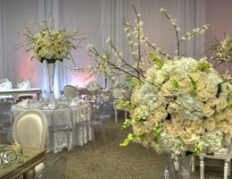 Fausto Colonna Decoraciones y Eventos, in Santa Marta, Magdalena