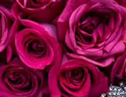 Cheever's Flowers, in Oklahoma City, Oklahoma