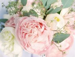 Alaska Blooms Peony Farms, in Anchorage, Alaska