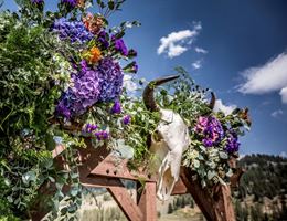 Labellum, in Bozeman, Montana
