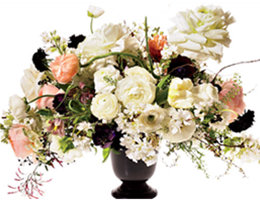 Blossoming Blessings, in Stratford, Connecticut