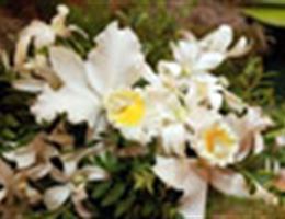 A Floral Affair, in Portland, Oregon