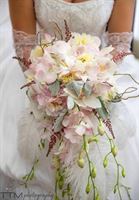 Atmospheres Floral and Decor, in Winter Park, Florida