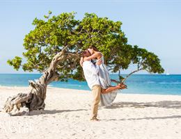 Details Proposal and Wedding Planner by Marielle, in Palm Beach, N/A