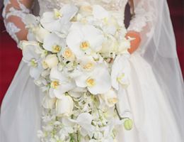 Ariston Floral Boutique, in New York, New York