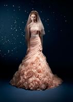 Reddington Bridal, in Park Ridge, Illinois