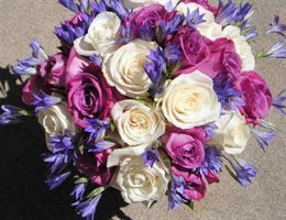 Knowles Flower Shop, in Amherst, Massachusetts