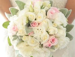 Alpine Flowers, in Wanaka, Otago