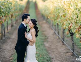 Lightheart Films & Photography, in Petersham, New South Wales