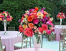 The Floral and Function Decor Company, in Johannesburg,, Gauteng