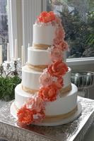 Sarah B's Bakery, in Fort Collins, Colorado