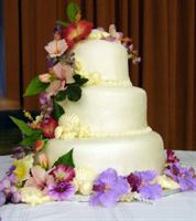 Wonder Cake Creations, in Sarasota, Florida