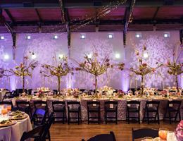 Chic Concepts Event Planning and Interior Design, in , Texas