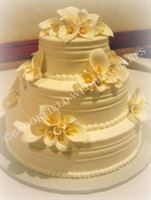Cakes By Rubina, in Ann Arbor, Michigan