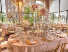 Satin Chair, in Naperville, Illinois