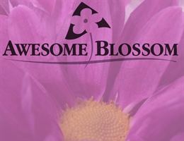 Awesome Blossom, in Edmonton, Alberta