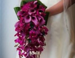 Complete Weddings, in RTP, North Carolina