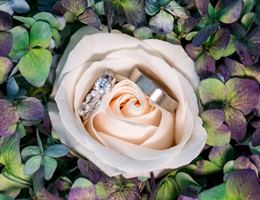 Amber Foster Smith Photography, in Holly Springs, North Carolina