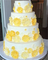 Sugar Showcase, in Austintown, Ohio