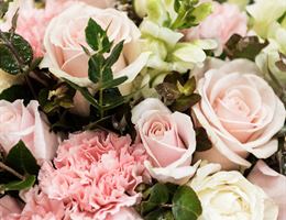 House of Flowers, in Alexandria, Louisiana