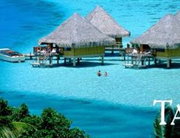 Alpha World Travel, in Cary, North Carolina