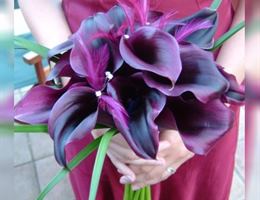 Aitkin Flowers & Gifts, in Aitkin, Minnesota