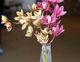 Amberworks Floral Design, in Middletown, Connecticut