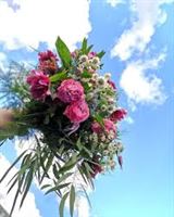 Little Shop of Florals, in Moscow, Idaho