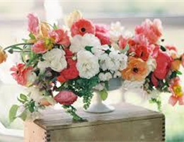 Green Acres Garden Center & Florist, in Coffeyville, Kansas