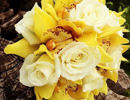 Always Flowers & Gifts, in Pierce, Nebraska