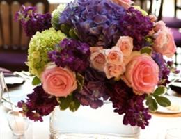 Rachael Kasie Designs LLC, in Daytona Beach, Florida