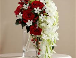 DGM Flowers & Events, in Fort Lauderdale, Florida