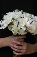 The Florist at Barrington Village, in Barrington, New Hampshire