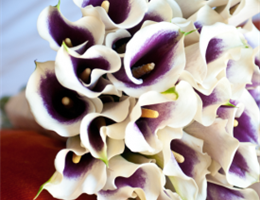 A Lil' Floral Boutique on Main, in Cottonwood, Arizona