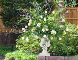 Bloomin Crazy Floral, in Astoria, Oregon