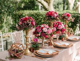 I Do Weddings With Love, in Virginia, Virginia