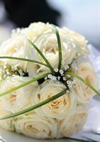 George's Flowers, in Roanoke, Virginia