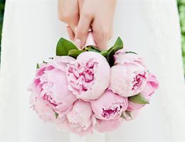 Pandora's Posies, in Midlothian, Virginia