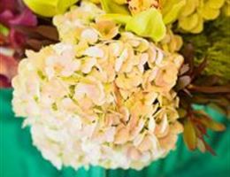 Eau Claire Floral, in Eau Claire, Wisconsin