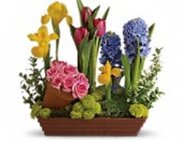 Della's Maple Lane Florist, in Troy, Michigan