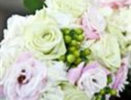 Rose Petal Wedding, in Beltsville, Maryland