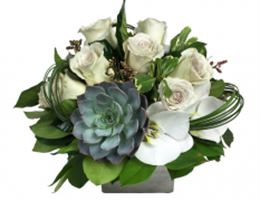 Galleria Florist, in Falls Church, Virginia