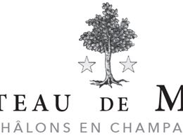 Chateau De Mairy is a  World Class Wedding Venues Gold Member